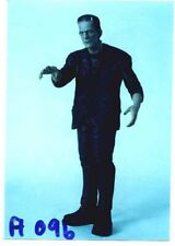13"FRANKENSTEIN Boris Karloff Horror Classic Thriller Movie Vinyl Model Kit 1/6