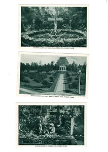St. Louis Jewel Box floral display - eleven 1950s b/w postcards in an envelope - Picture 1 of 6