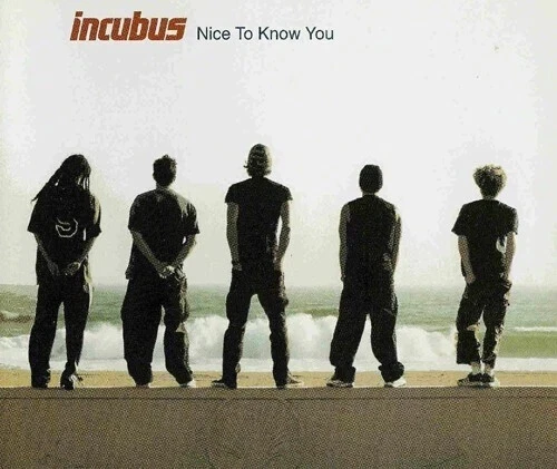Incubus-Nice To Know You   CD  Very Good condition  1-track CD Single - Image 1 of 1