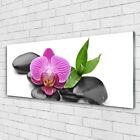 Print On Glass Wall Art 125X50 Picture Image Flower Stones Art