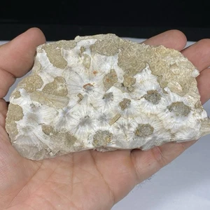 131GR Beautiful MINERALS SPECIMEN 100 % Natural MESOLITE NEEDLES  Indonesia - Picture 1 of 11