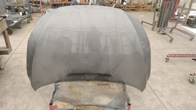 GRY HOOD F51003YUMA 2016-2019 NISSAN SENTRA Foto 1 de 4