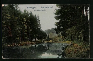 Böhrigen, Wehrteich, Ansichtskarte 1921 - Picture 1 of 2