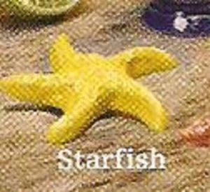 WADE STARFISH NAUTICAL 2012  - Picture 1 of 1