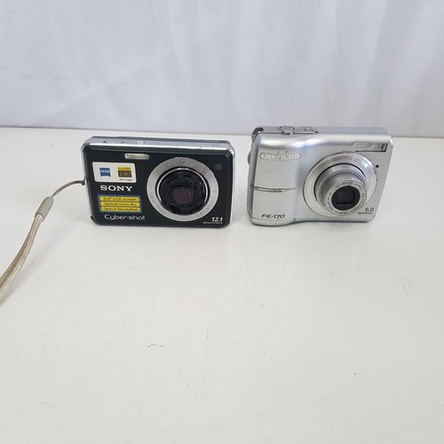 Foto 1 di 24