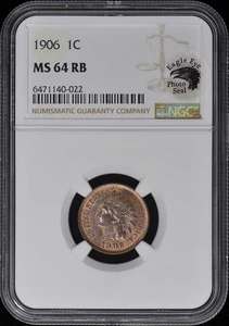 1906 Bronze Indian Cent 1C NGC MS64RB (EAGLE EYE) - Picture 1 of 4