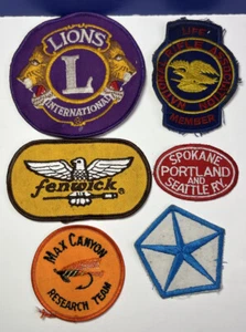 Mixed Lot Of 6 Vintage Patches Iron & Sew-On - Fenwick, NRA Life Member, Lions + - Picture 1 of 11