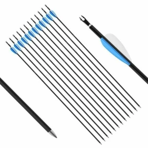 12Pcs 30-inch Archery Carbon Arrows Spine 1000 OD 6mm for Compound Bow Hunting - Picture 1 of 11