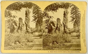 SV027_074 Stereoview CO. Major Domo a & Two Sisters Glen Eyrie - Picture 1 of 1