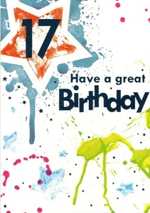 AGED 17 '17 HAVE A GREAT BIRTHDAY' GREETINGS CARD AND MATCHING ENVELOPE 5" X 7" - Picture 1 of 3