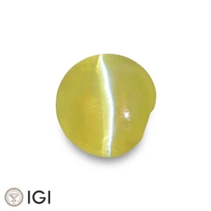 IGI Certified CHRYSOBERYL CAT'S EYE 2.03 Ct. Natural Untreated GREENISH YELLOW - Picture 1 of 8