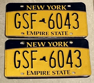 SCHÖNES PAAR New York BLAU & GOLD Nummernschilder NY Tags Empire State NYC GSF 6043 - Bild 1 von 3