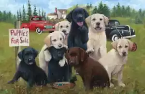 Edredón de tela de algodón de 3 yardas - Northcott Puppies en venta camión de granja - Imagen 1 de 1