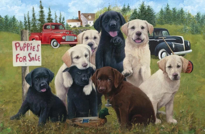 Edredón de tela de algodón de 3 yardas - Northcott Puppies en venta camión de granja Foto 1 de 1