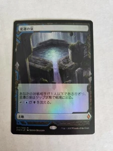 Japanese Foil Morphic Pool NM Zendikar Rising Expedition (ZNE) - MTG - Picture 1 of 2