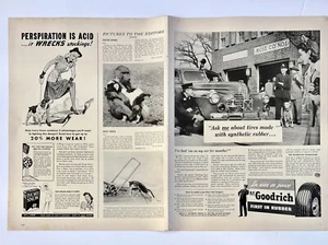 Póster de arte de pared anuncio promocional Life 1936 Pennzoil Goodrich neumáticos detergente 21"x14" - Imagen 1 de 5