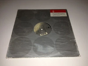 Vinyl 12" Record, Hypertrophy - Eternal Flames (Remixes), Fanatix Mix 1998 - Foto 1 di 6