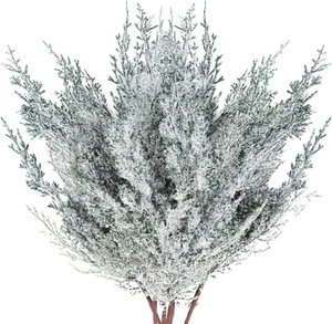 6 Pieces Frosted Artificial Cedar Pine Branches Sprigs 17" Snowy Faux Cedar Twig - Picture 1 of 7