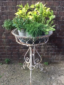 Elegant French Wrought Iron Large Jardiniere Planter & Liner c1900 Conservatory - Picture 1 of 12