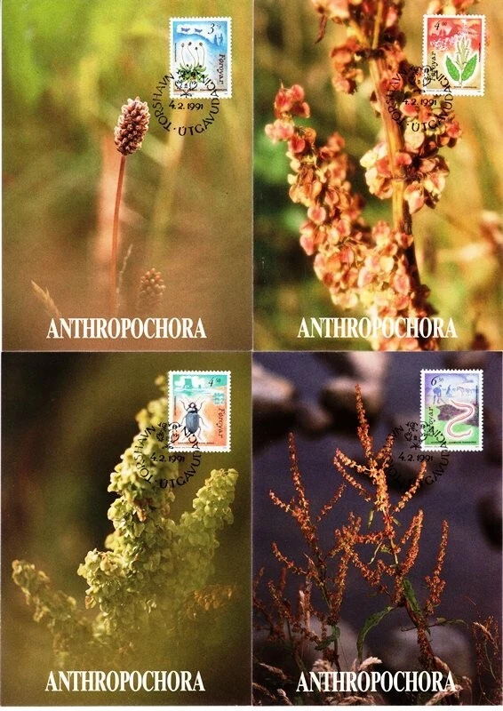 Faroe 1991 Anthropochores of Faroe islands , fauna , flowers maximum cards set - Image 1 of 1