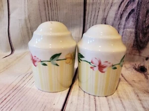 Pfaltzgraff Vintave Dinnerware Grandma's Kitchen Salt & Pepper Set 1996-1998 - Bild 1 von 3