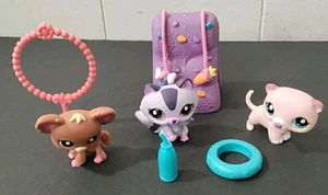 Littlest Pet Shop 1622 Purple Raccoon 1623 Chihuahua 1624 Ferret Climbing Wall + - Picture 1 of 24