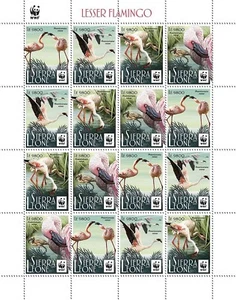 LESSER FLAMINGO Wading Birds MNH 16v-Stamp Sheet WWF #6 (2017 Sierra Leone) - Picture 1 of 1