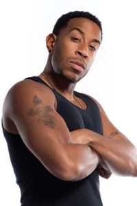 Ludacris Music Celebrity Hip Hop Rapper Art Wall Print - POSTER 20x30 - Picture 1 of 4