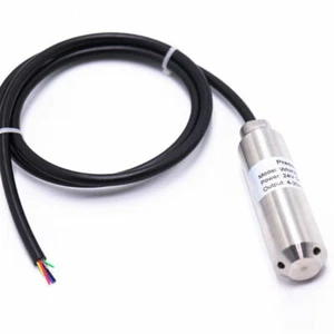 Submersible Level Transducer RS485 output , 16ft depth range, 30 ft Cable - Picture 1 of 3