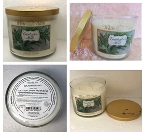 Bath & Body Works 3 Wick Home Scented Candle Eucalyptus Mint 14.5 Oz - Picture 1 of 6