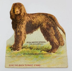 Trade Card McLaughlin Coffee Stand Up Irish Water Spaniel Werbung 1890er 2x3" - Bild 1 von 12