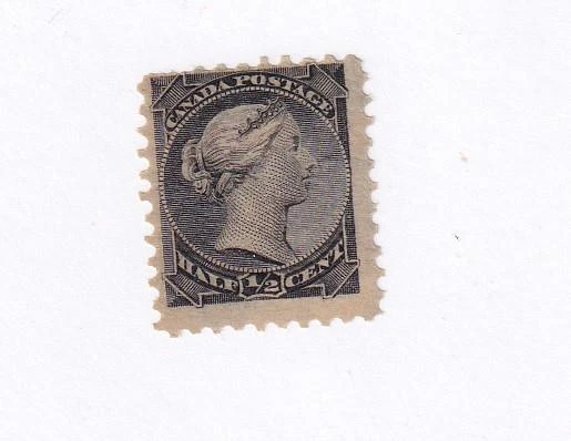 CANADÁ # 34 FVF-MNH 1/2ct PEQUEÑA REINA GATO NEGRO VALOR $25 Foto 1 de 1