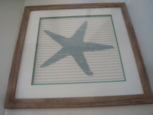 Framed Wall Art 2 Piece Starfish & Sand Dollar Pre-owned - Picture 1 of 4