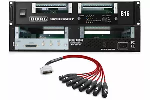 Placa madre Burl Audio B16 Mothership con interfaz AES - Imagen 1 de 3