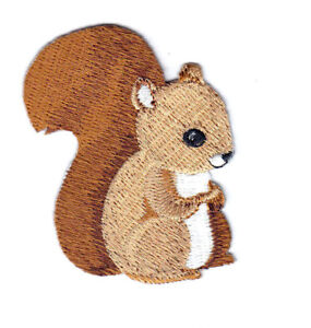 SQUIRREL BABY Iron On Patch Forest Animals Squirrels
