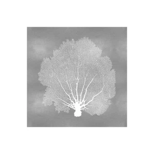 Stampa su Tela su Carta Poster o Quadro Miller Melonie Sea Fan on Silver IV - Picture 1 of 2