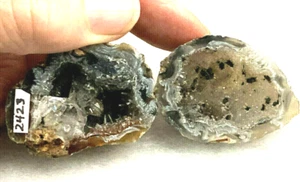 SET of2 - AGATE "OCCO" GEODES - Picture 1 of 5