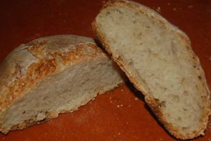 WHARF SAN FRANCISCO SOURDOUGH STARTER culture yeast flour dough dry powder mix - Picture 1 of 7