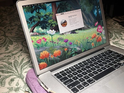 Apple MacBook Pro 15" Laptop Core i7 - 10GB 256SSD 750GB HD - macOS High Sierra - Image 1 of 4