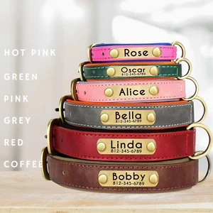 Personalized Dog & Cat Collar – Gold Nameplate, 6 Colors and 5 Sizes - Picture 1 of 6