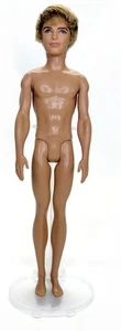 Muñeca Ken Barbie Mattel 2009 sin accesorios - Imagen 1 de 9