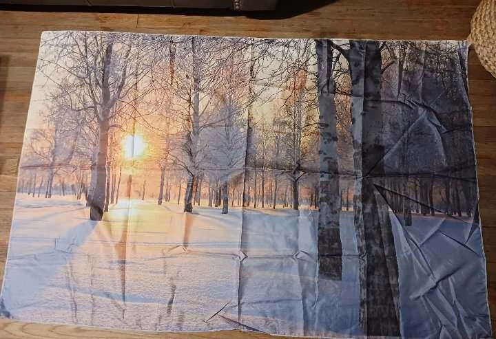 Tapiz de decoración de pared de árboles de abedul al atardecer poliéster 60 W X 40 T pulgadas Foto 1 de 1