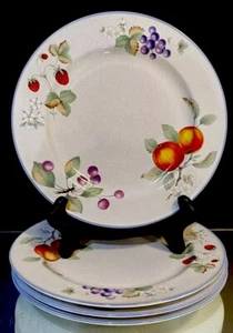 Savoir Vivre--Luscious--Set (4) Dinner Plates--Condition--No Issues--BUY IT NOW - Picture 1 of 9