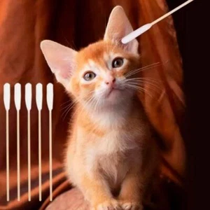 50PCS Dog Ear Cleaner Cotton Buds Sticks Ear Wax Removal Healthcare Cotton A2J8 - Picture 1 of 21