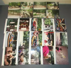 VINTAGE CATSKILL GAME FARM SNAPSHOT PHOTOGRAPHS - Picture 1 of 3