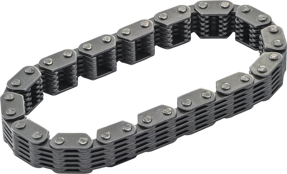 HARDDRIVE 2005-2006 FLSTN Softail Deluxe Harley Davidson SECONDARY CAM CHAIN TC Foto 1 de 1
