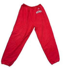 Rare Wisconsin Badgers Champion Sweatpants Team issued  Men’s XL NCAA - Picture 1 of 4