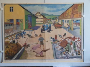Bauernhof Eichler Traktor Gänse Schweine Kühe Hühner 90x64c Schul-Wandbild ~1968 - Bild 1 von 4