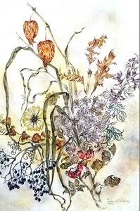 Sulamith Wulfing 1978 AUTUMN FLOWERS BOTANICAL BOUQUET Matted Art Print - Picture 1 of 9