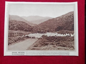 Tiefdruck - Große Bretagne - Schottland - Bild 1 von 1